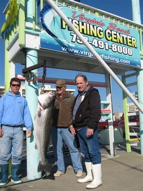 Striped Bass Forum .